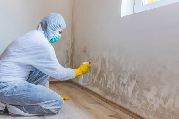 Licensed Mold Remediation service in Haymarket, VA - 24 Hour Mold Removal