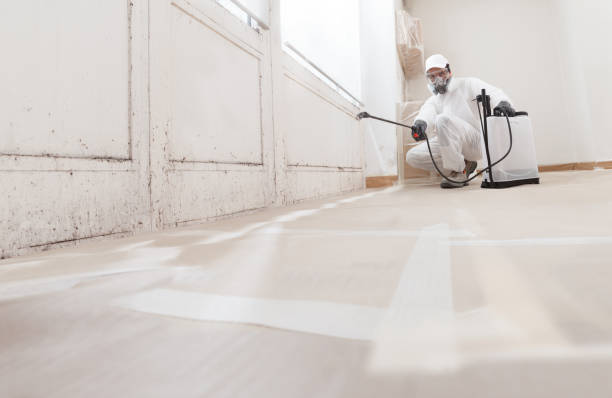 24/7 Emergency Mold Remediation experts in Haymarket, VA
