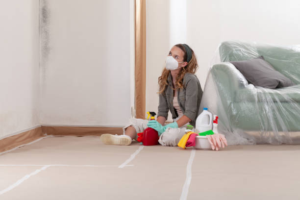 Reliable Mold Remediation contractor in Haymarket, VA by 24 Hour Mold Removal