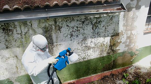 Top rated local Mold Remediation specialists in Haymarket, VA